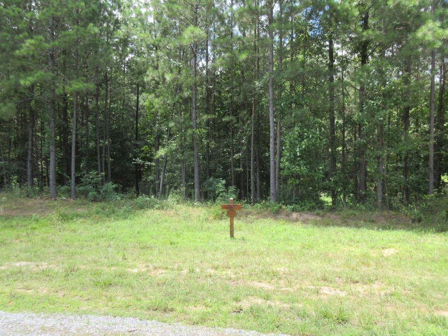 0 Bear Trace Dr unit RTC2723156, Jasper, TN 37347 - photo 1