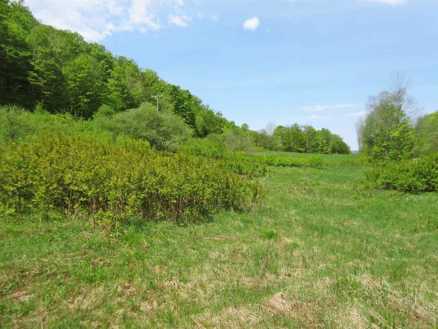 4939 Underpass Rd, Sutton, VT 05867 - photo 1