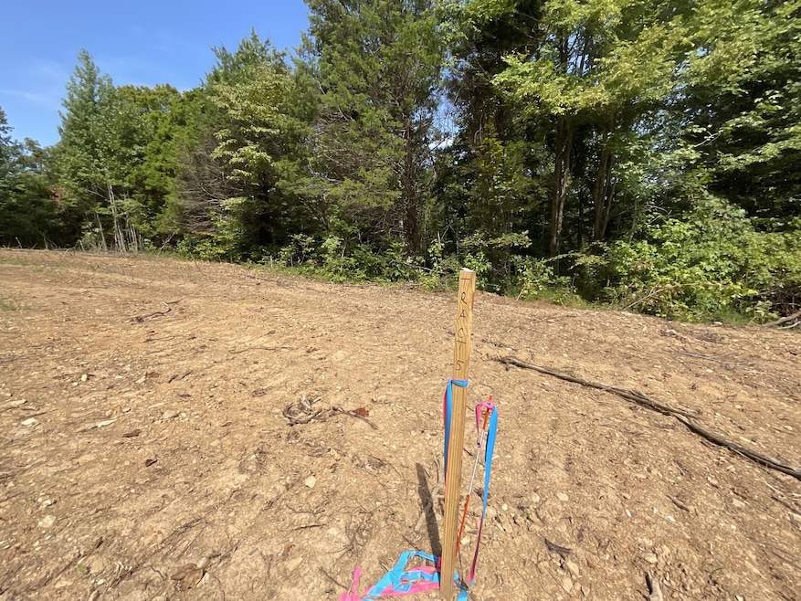 5 Lyle Hollow Rd, Palmyra, TN 37142 - photo 1