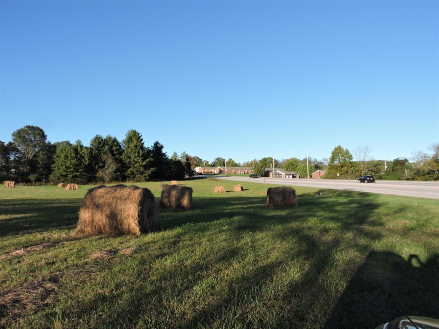 511 Woodbury Hwy, Manchester, TN 37355 - photo 1