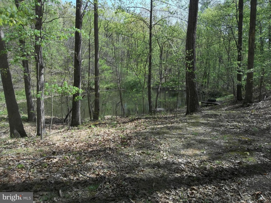 0 Wild Turkey Ct, Front Royal, VA 22630 - photo 1