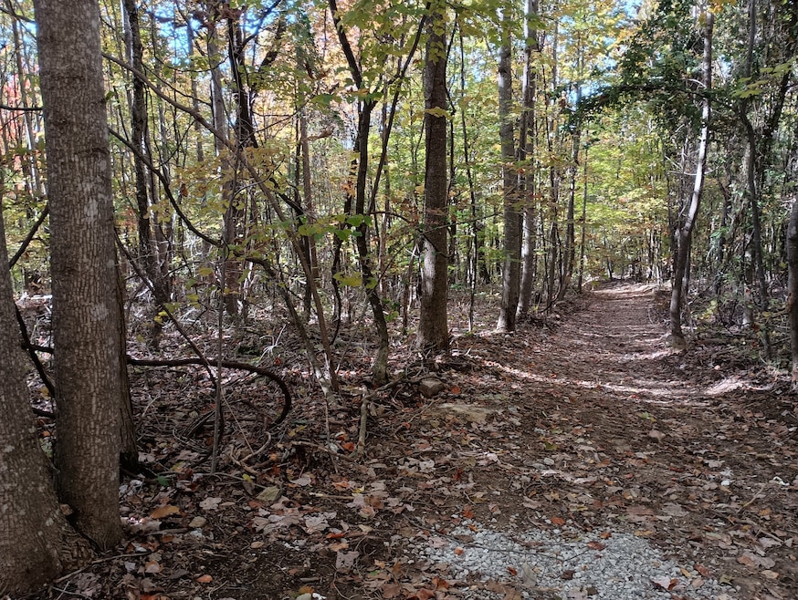 0 Clouse Hill Rd, Pelham, TN 37366 - photo 1