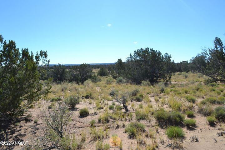 20221102193558105620000000-o