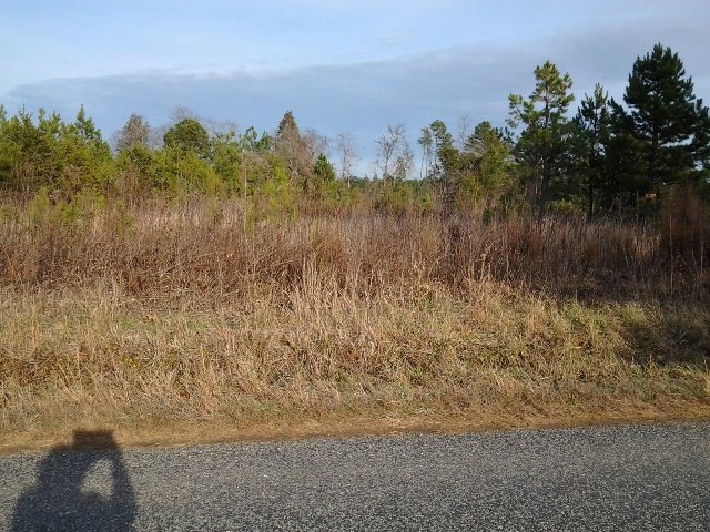 0 Stoney Cross Rd, Chase City, VA 23924 - photo 1