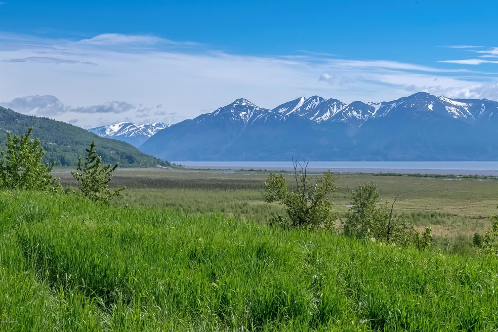 15486 Old Seward Hwy, Anchorage, AK 99516 - photo 1