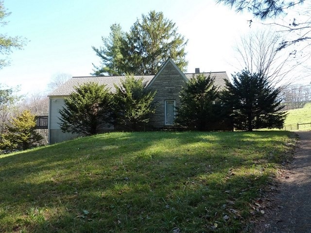 Main View