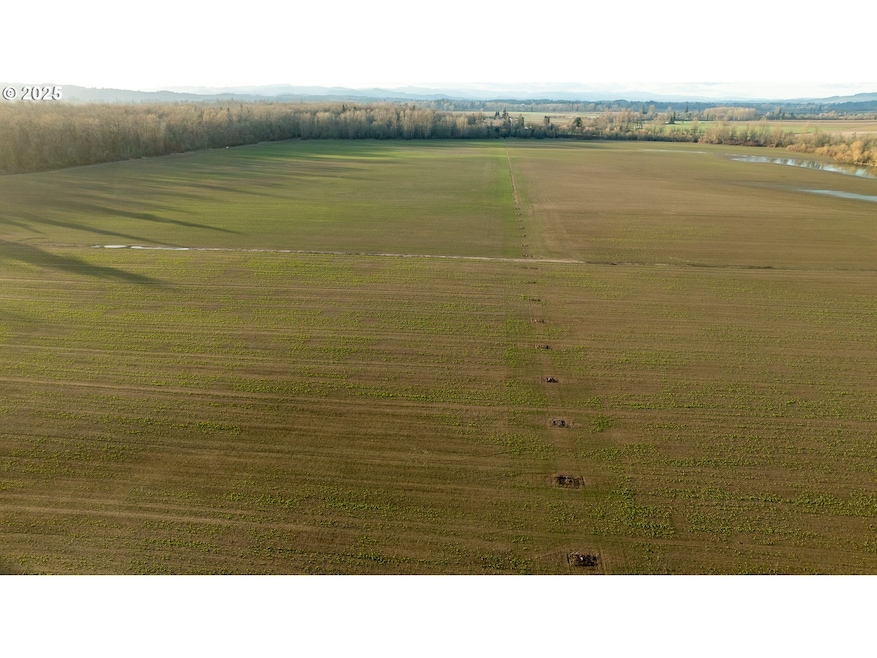 0 SE Upper Island Rd, Dayton, OR 97114 - photo 1