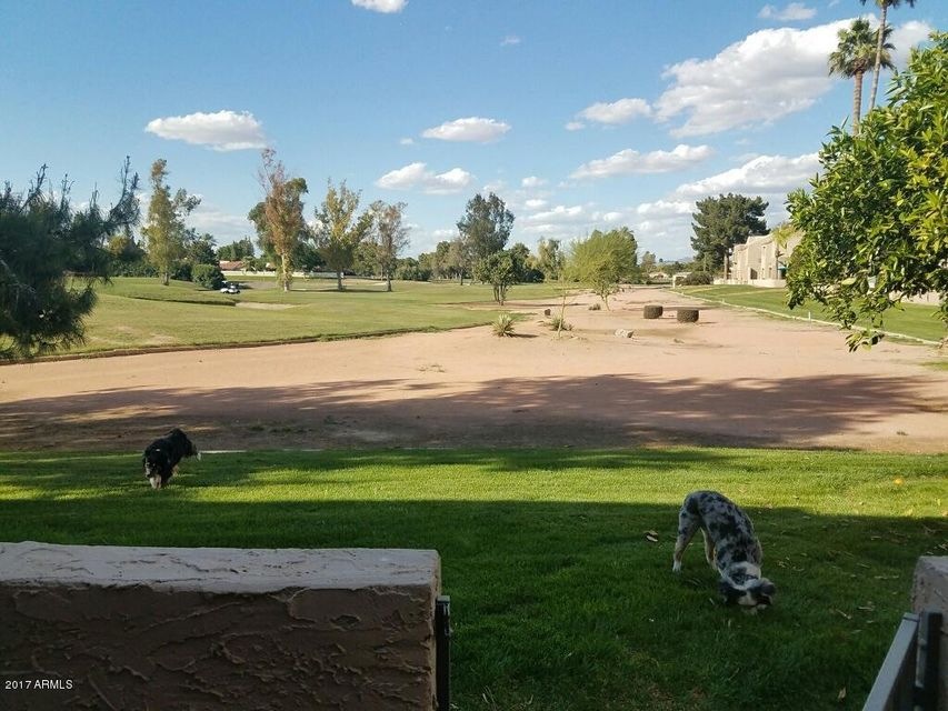 Golf Course View
