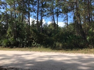 unlisted-address, Sebastian, FL 32958 - photo 1