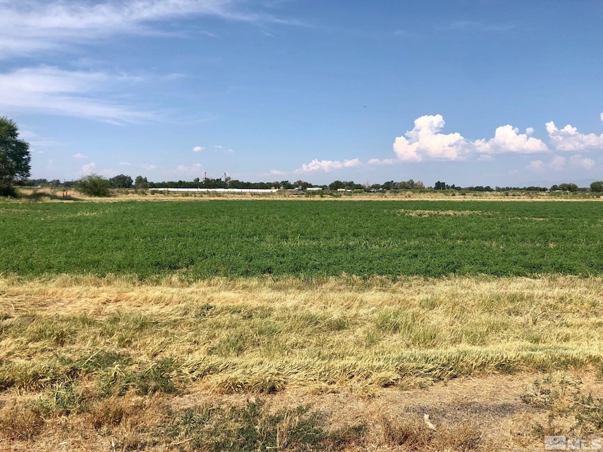 4874 SW Bebe Ann, Fallon, NV 89406 - photo 1