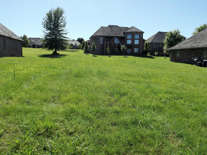 Lot 16 11th Addition, Fremont Hills, MO 65714 - photo 1