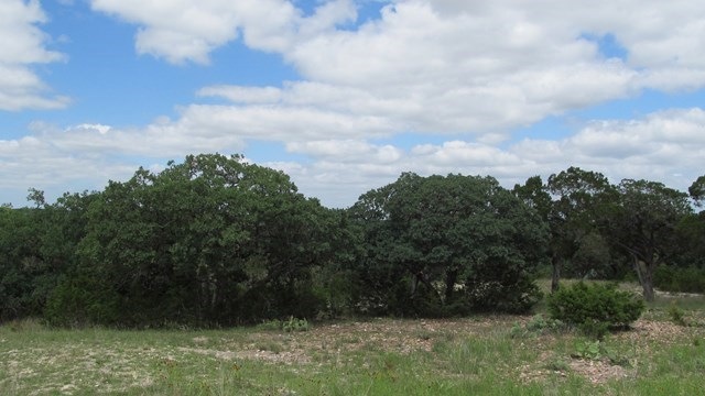 686 Cedar Hills Dr, Fredericksburg, TX 78624 - photo 1