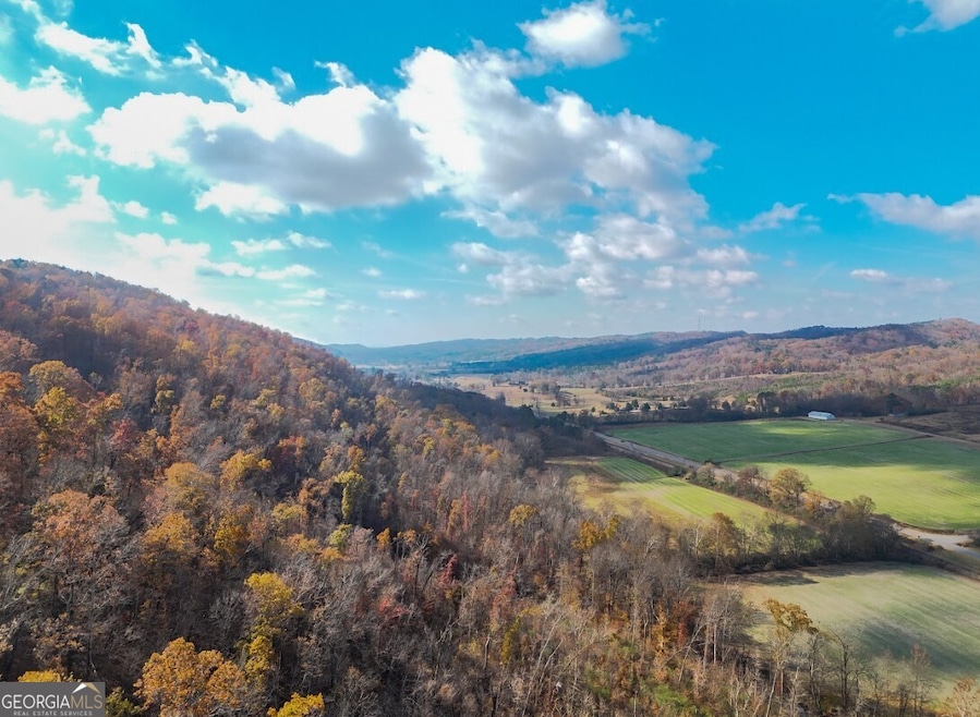 0 Route 11, Attalla, AL 35954 - photo 1