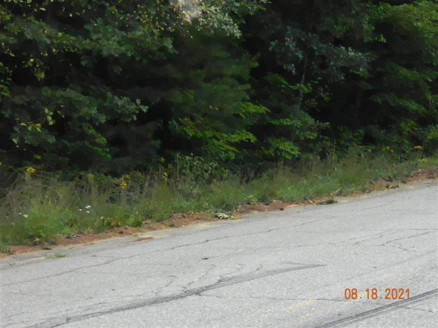 00 N Village Rd unit 4-03, Loudon, NH 03307 - photo 1