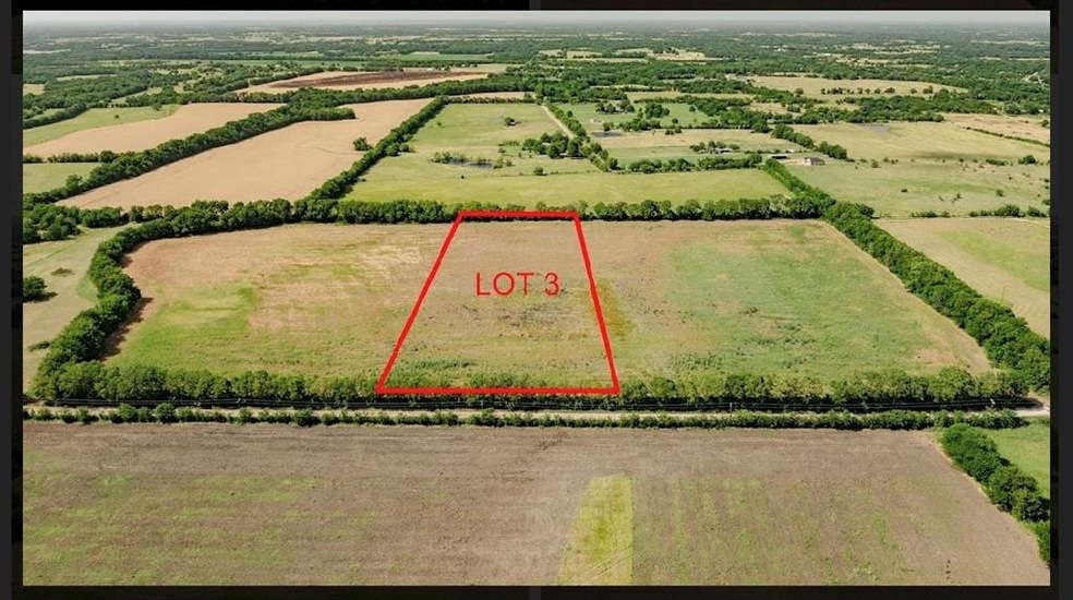 Tract 3 County Rd 4040, Ector, TX 75439 - photo 1