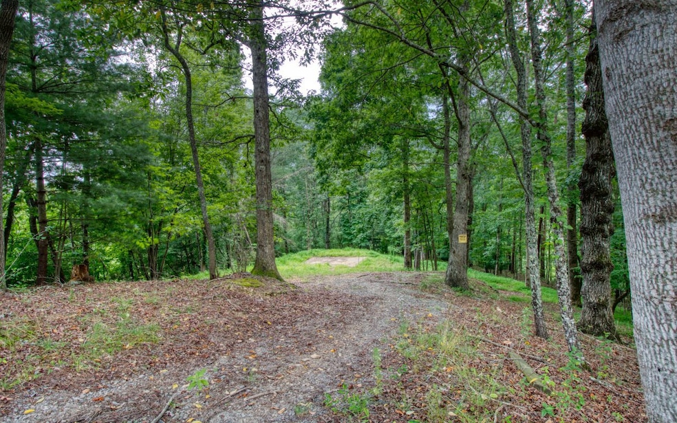 216 Toccoa River Forest Ln, Mineral Bluff, GA 30559 - photo 1