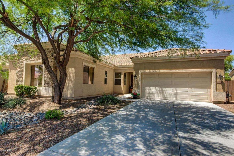 3396 E Kingbird Place