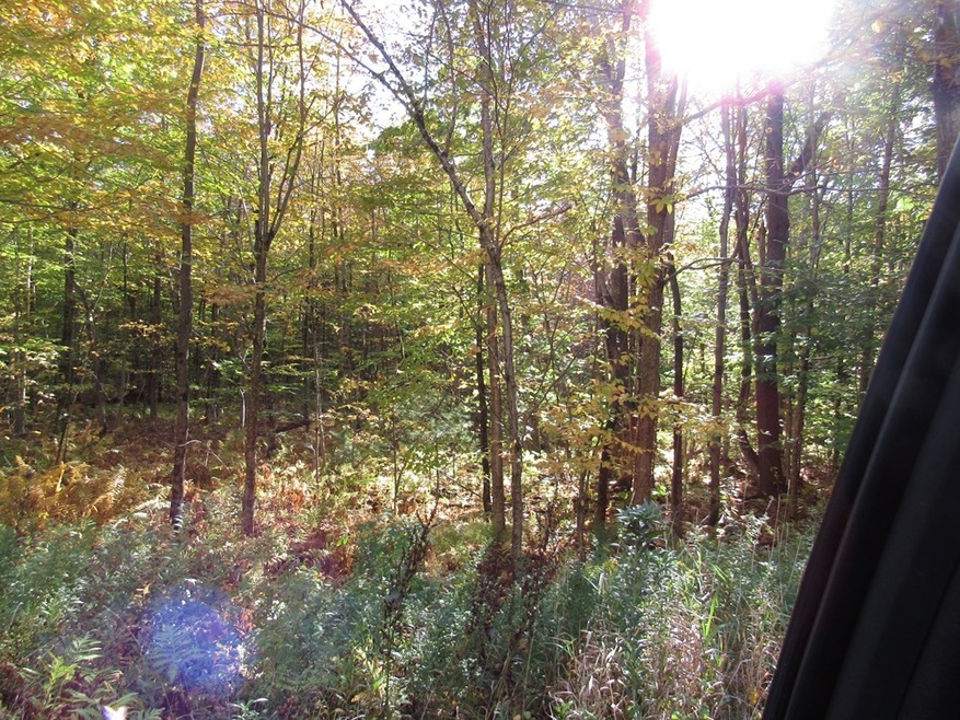 33 Bug Hill Rd, Cummington, MA 01026 - photo 1