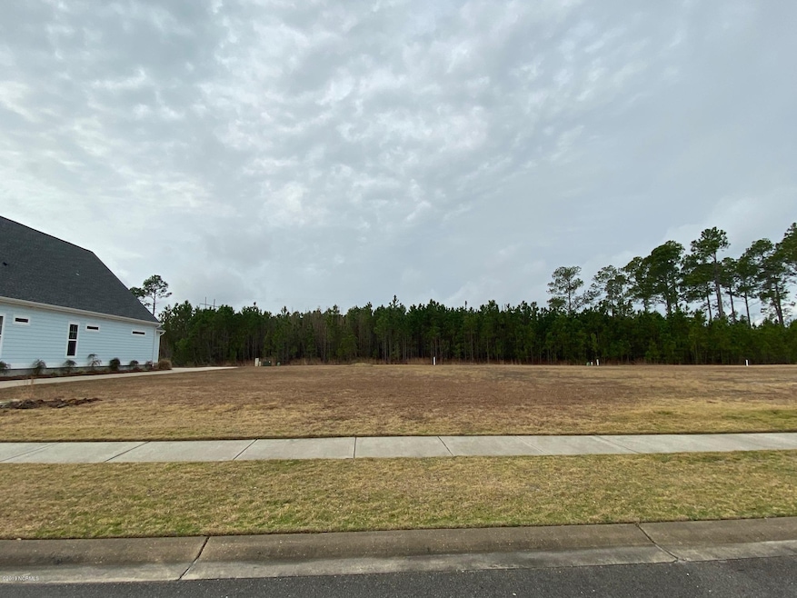 2025 Simmerman Way, Leland, NC 28451 - photo 1