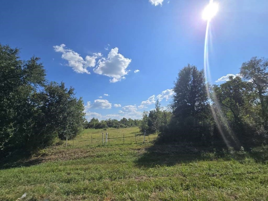 15278 Us Hwy 90 Tract 3, Devers, TX 77538 - photo 1