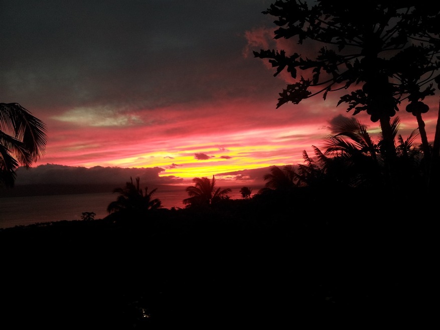 Ocean/Sunset View
