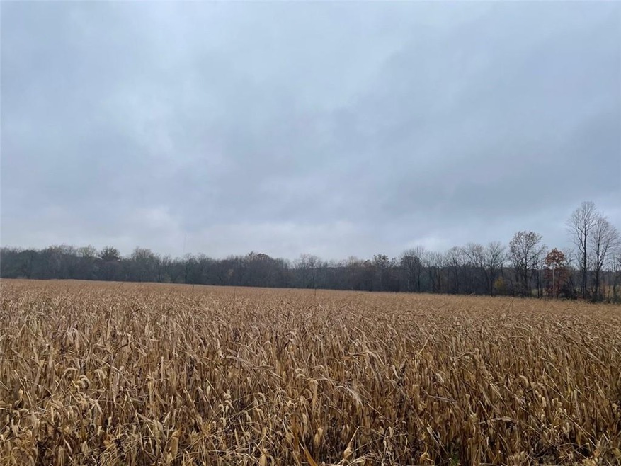 000 E Salem Rd, Laughery Township, IN 47006 - photo 1