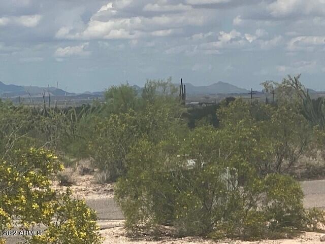 NW View