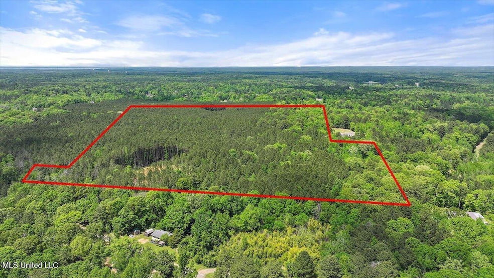 005 Pilgrim Rest Dr, Brandon, MS 39042 - photo 1