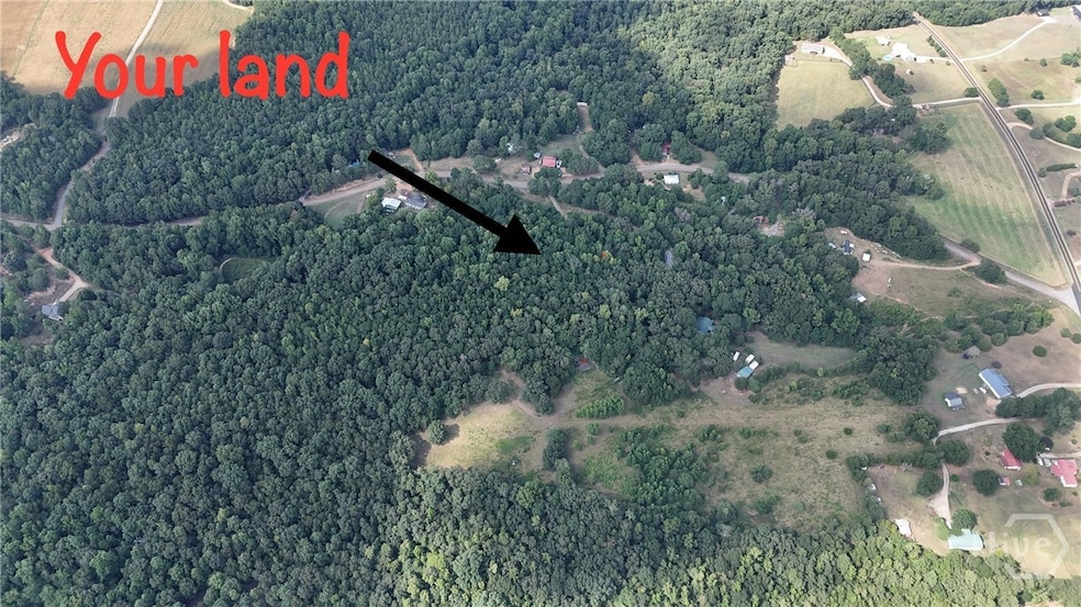 1276 Winns Lake Rd, Comer, GA 30629 - photo 1