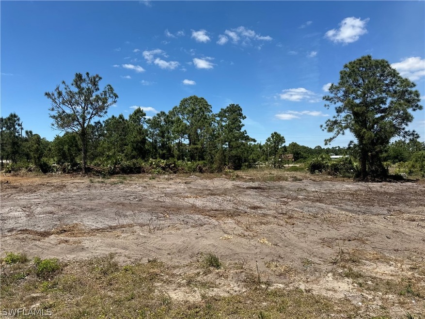 804 Downer Ave S, Lehigh Acres, FL 33974 - photo 1