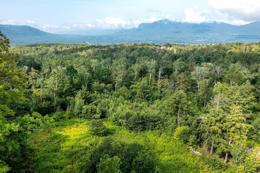 Lot 3 Route 11 30, Winhall, VT 05340 - photo 1