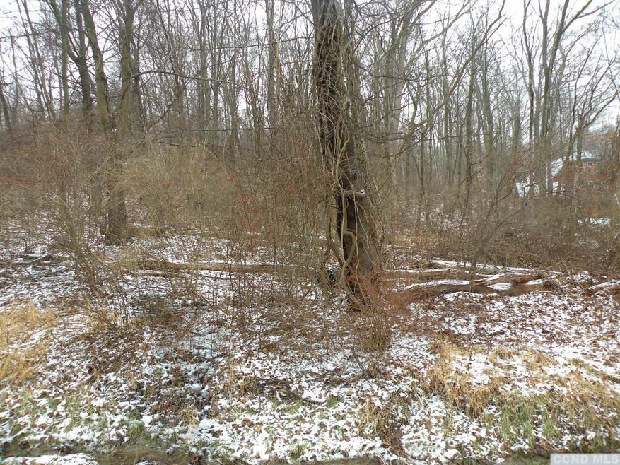 7694 Sheldon Rd, Dover, NY 12594 - photo 1