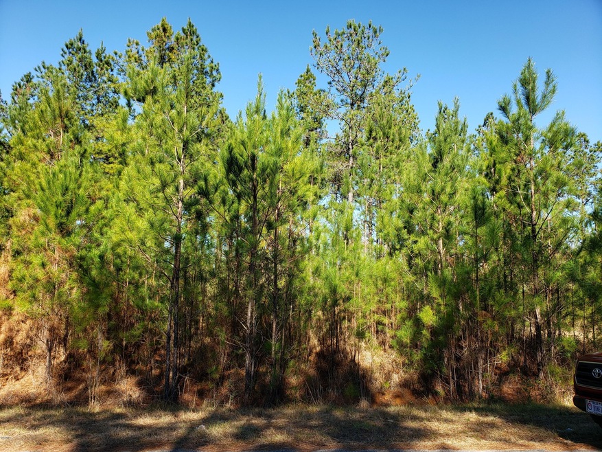 Lot #2