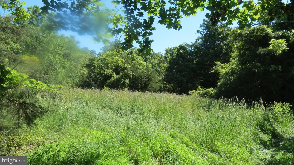 758 Swimley Rd, Berryville, VA 22611 - photo 1