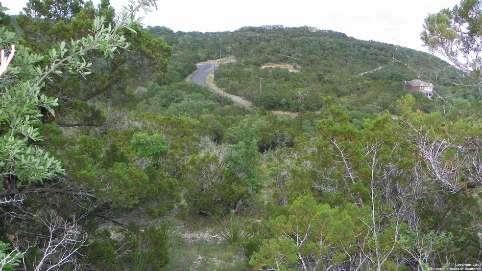 17320 Rd, Helotes, TX 78023 - photo 1