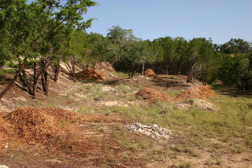View of local wilderness