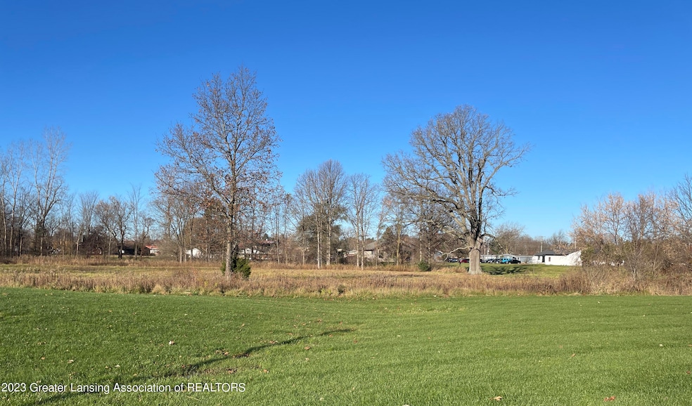 315 Hamman Dr, Eaton Rapids, MI 48827 - photo 1