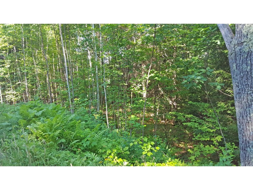 0 Norris Rd unit 4502964, Orford, NH 03777 - photo 1