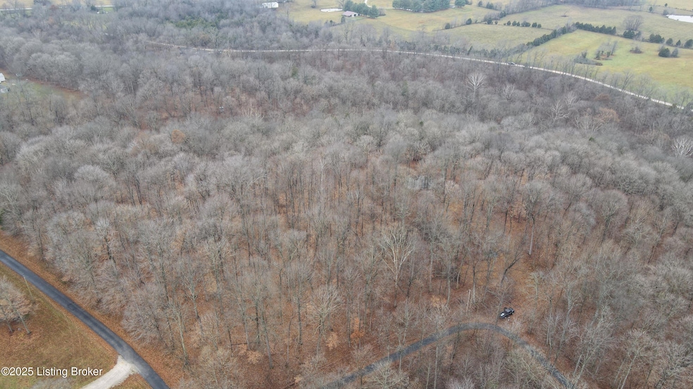 Lot 1 Vinson Rd, Brandenburg, KY 40108 - photo 1