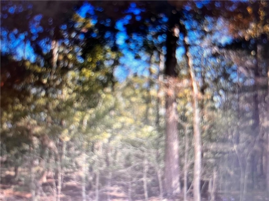 0 Hwy 40 None, Bush, LA 70431 - photo 1