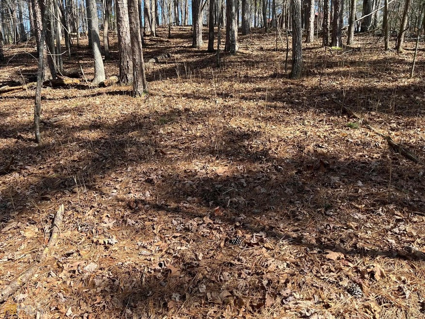 0 Armour Way, De Soto, GA 30540 - photo 1