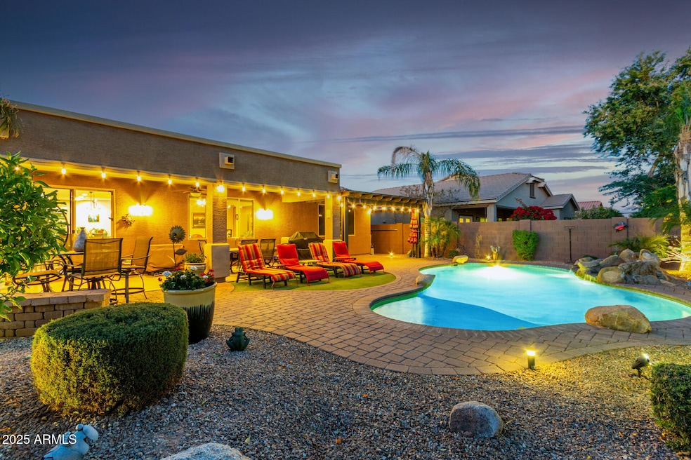 Backyard Oasis