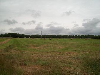 0 20000 Rd, Parsons, KS 67357 - photo 1