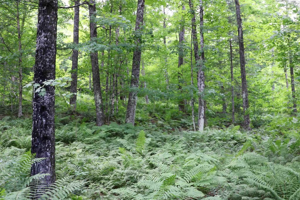 00 Vt Route 12 N, Brookfield, VT 05036 - photo 1