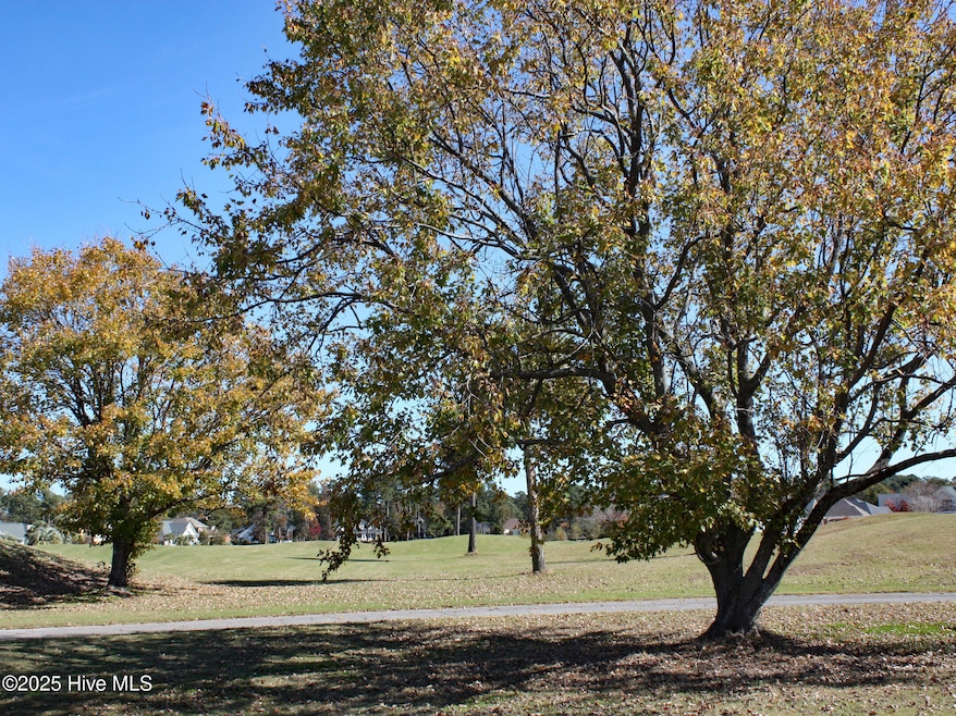 7000 Bloomsbury Ct SW, Ocean Isle Beach, NC 28469 - photo 1