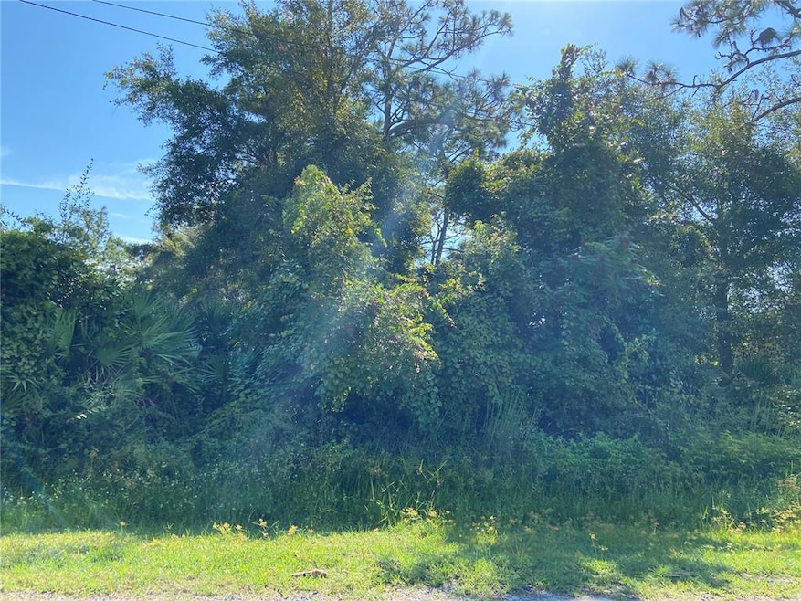 0 Morgan Paper St unit V4922187, Deltona, FL 32725 - photo 1