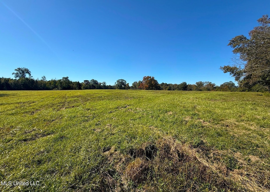 0 Emma Kelly unit 4132130, Magnolia, MS 39652 - photo 1