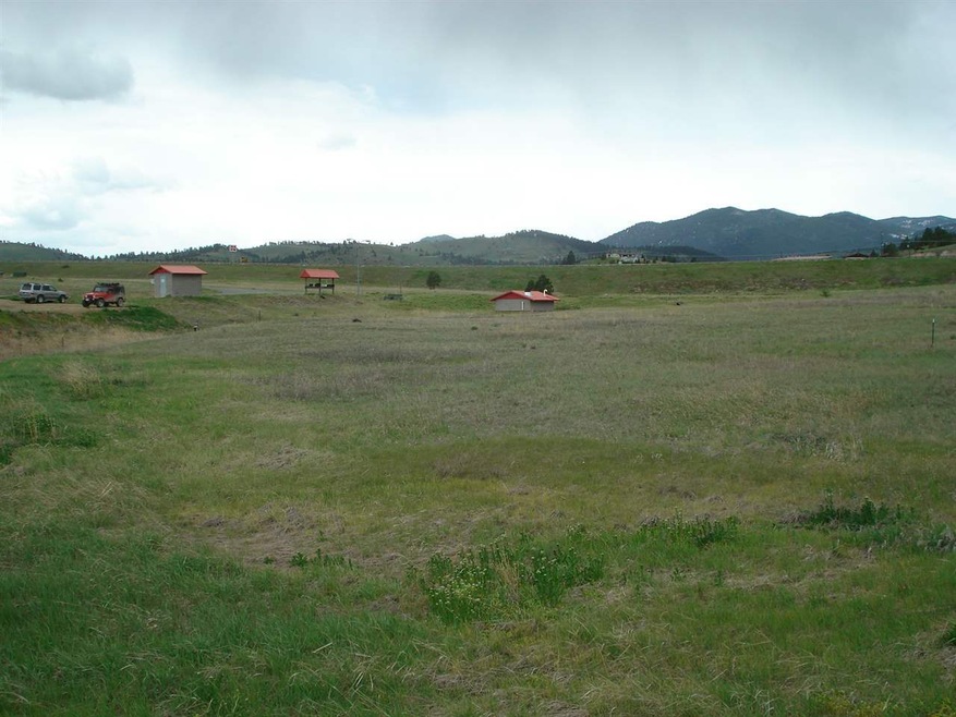Primary Photo