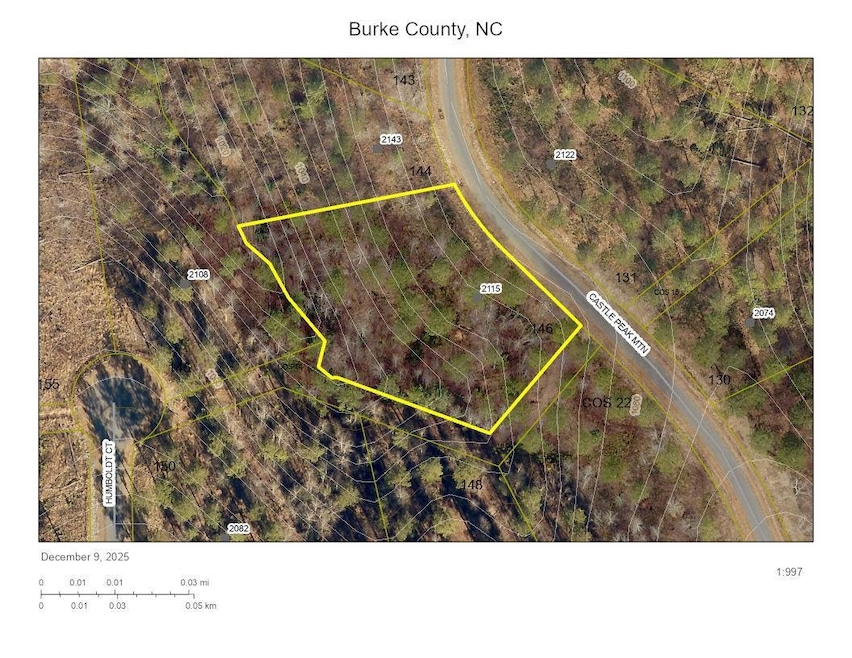 2115 Castle Peak Mountain None unit 144, Connelly Springs, NC 28612 - photo 1