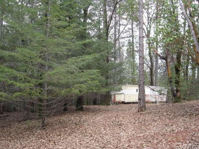View of the access road to the trailer.